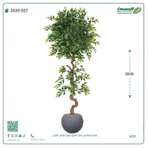 شجرة فيكس صناعية عود مائل (ارتفاع 200 سم) حوض فيبر