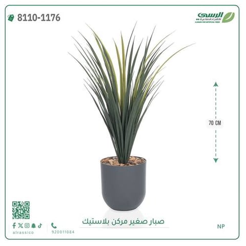 شجرة صبار اصطناعية ( ارتفاع 70 سم ) حوض بلاستيك