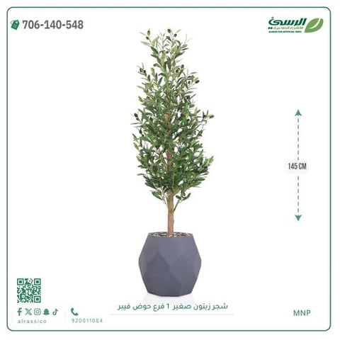 شجرة الزيتون الصناعية (ارتفاع 145 سم) حوض فيبر