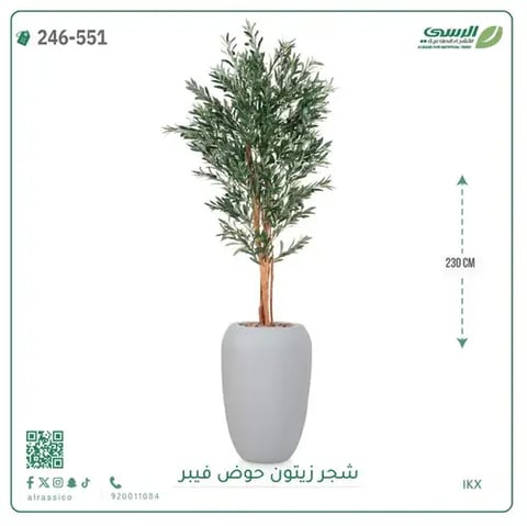 شجر زيتون صناعية ( ارتفاع 230 سم ) حوض فيبر