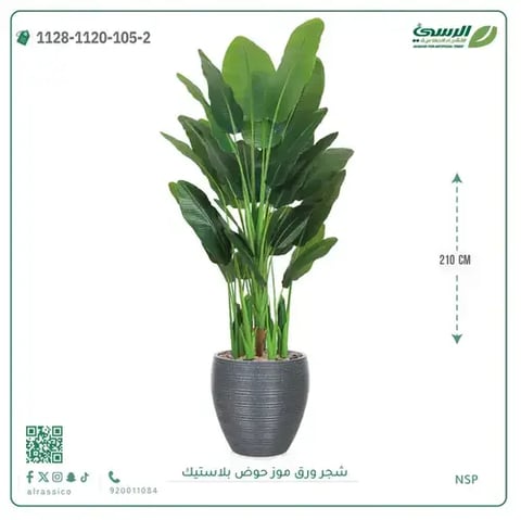 شجرة ورق موز صناعية ( ارتفاع 210 سم ) حوض بلاستيك