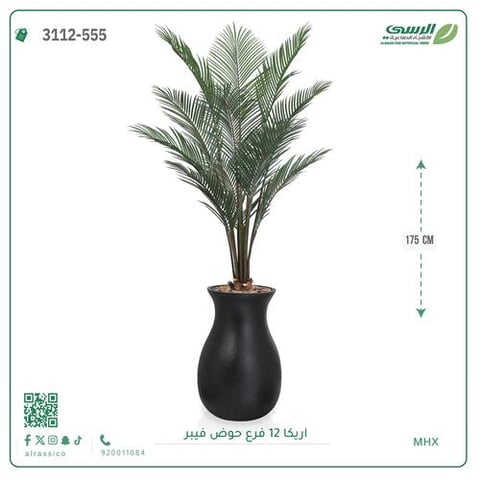 شجر أريكا صناعية ارتفاع 175 سم حوض فيبر