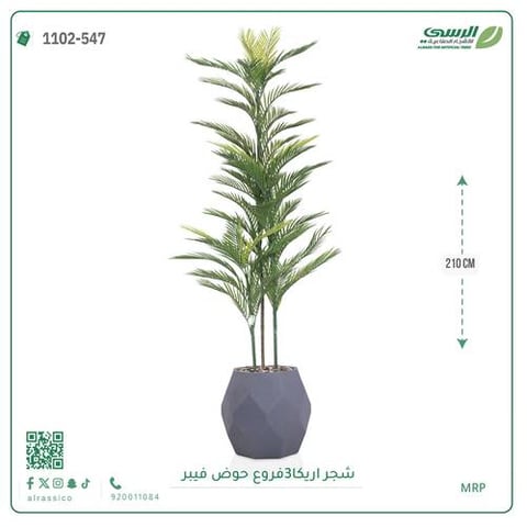 شجرة أريكا اصطناعية (3 فرع) بمركن فيبر