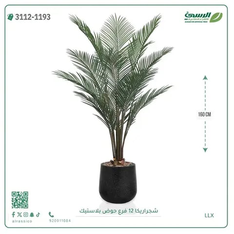 شجرة أريكا صناعية 12 فرع (ارتفاع 160 سم) حوض بلاستيك