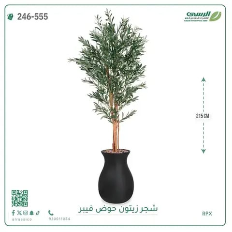 شجر زيتون صناعية ( ارتفاع 215 سم ) حوض فيبر