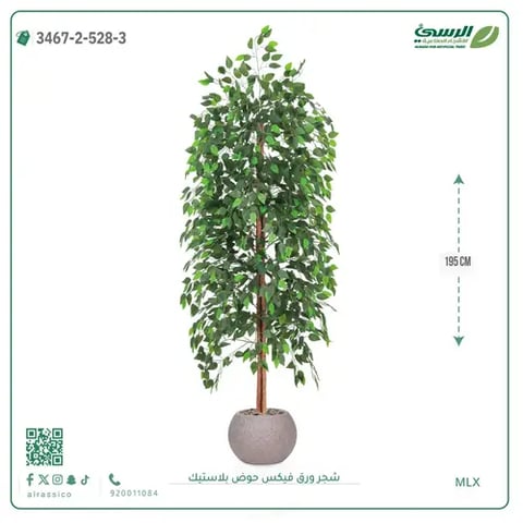 شجر ورق فيكس صناعية (ارتفاع 195 سم) حوض بلاستيك