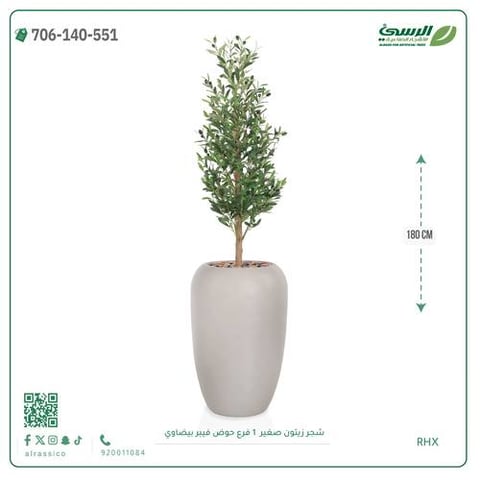 شجرة الزيتون الصناعية (ارتفاع 180 سم) حوض فيبر