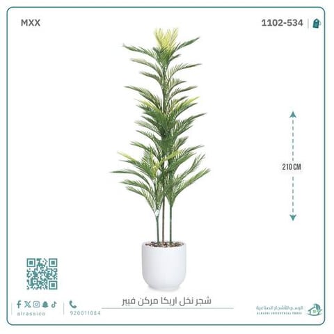  شجرة أريكا اصطناعية (3 فرع) بمركن فيبر أسطواني