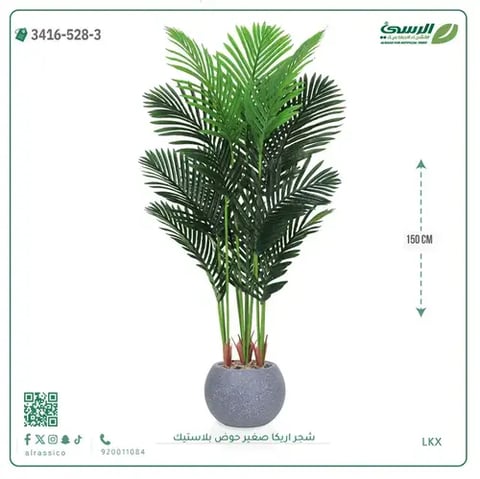 شجر أريكا صناعية ( ارتفاع 150 سم ) حوض بلاستك