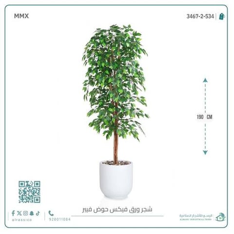 شجرة ورق فيكس اصطناعية بمركن فيبر  أسطواني