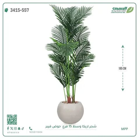 شجرة أريكا صناعية 15 فرع (ارتفاع 185 سم) حوض فيبر