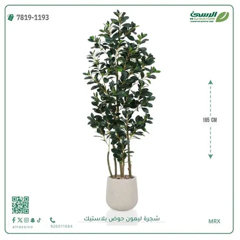 شجرة ليمون صناعية ( ارتفاع 185 سم ) حوض بلاستيك