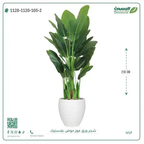 شجرة ورق موز صناعية ( ارتفاع 210 سم ) حوض بلاستيك