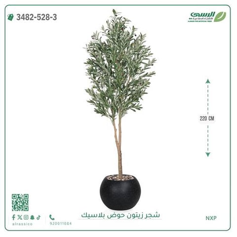 شجرة زيتون صناعية ( ارتفاع 220 سم ) حوض بلاستك