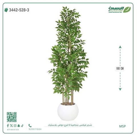 شجرة فيكس بنجامينا صناعية 6 فروع (ارتفاع 180 سم) حوض بلاستيك