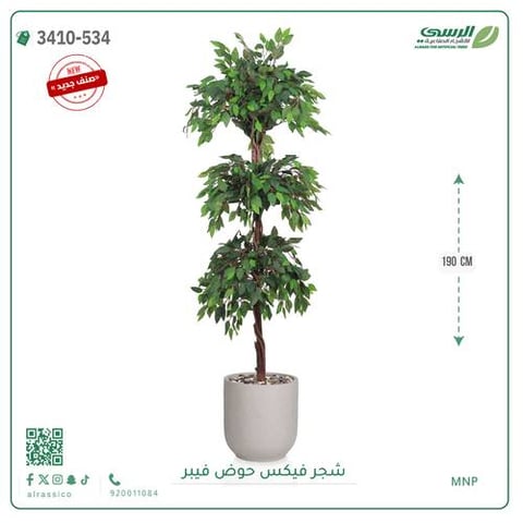 شجر فيكس صناعية ( ارتفاع 190 سم ) حوض فيبر