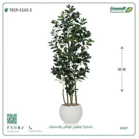 شجرة ليمون صناعية ( ارتفاع 185 سم ) حوض بلاستك