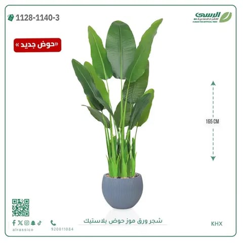 شجرة موز صناعية ( ارتفاع 165 سم ) حوض بلاستيك