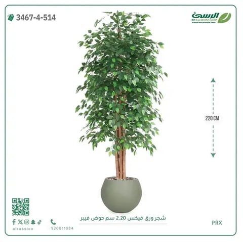 شجر فيكس صناعية (ارتفاع 220 سم) حوض فيبر