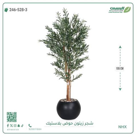 شجرة زيتون صناعية ( ارتفاع 195 سم ) حوض بلاستك