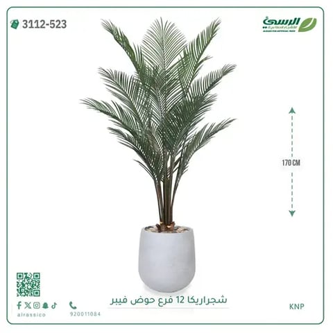 شجرة أريكا صناعية 12 فرع (ارتفاع 170 سم) حوض فيبر