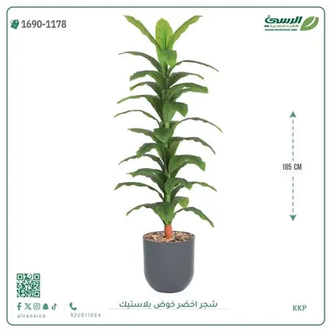 شجرة ذرة صناعية (ارتفاع 185 سم) حوض بلاستيك