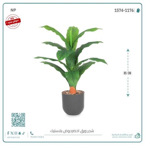 شجرة ورق موز صغير بمركن بلاستيك أسطواني