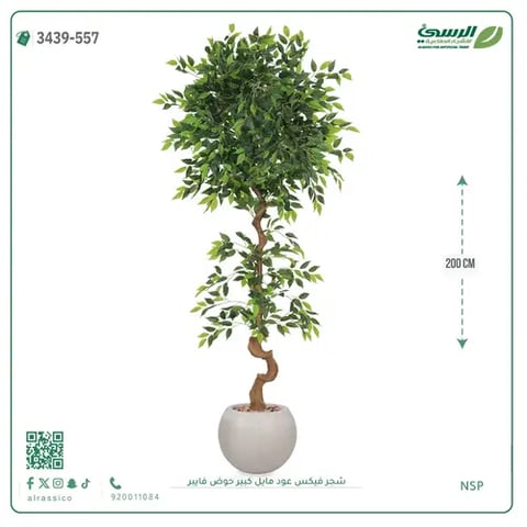 شجرة فيكس صناعية عود مائل (ارتفاع 200 سم) حوض فيبر