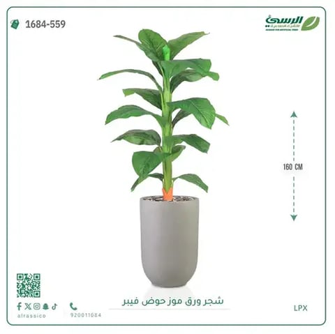شجرة ورق موز صناعية ( ارتفاع 160 سم ) حوض فيبر