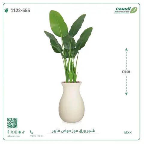 شجرة موز صناعية ( ارتفاع 170 سم ) حوض فيبر