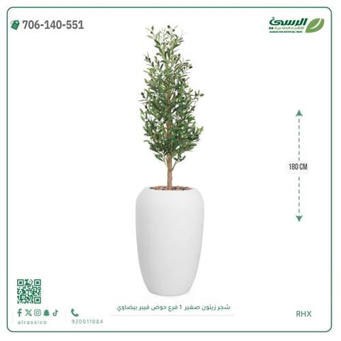شجرة الزيتون الصناعية (ارتفاع 180 سم) حوض فيبر