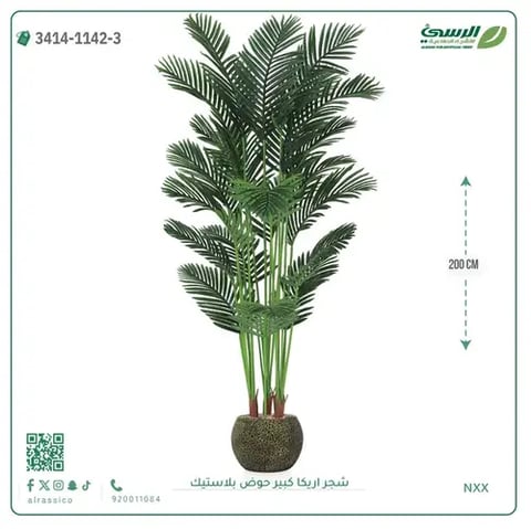 شجر أريكا صناعية ( ارتفاع 200 سم ) حوض بلاستك