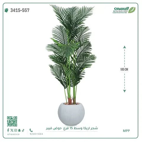 شجرة أريكا صناعية 15 فرع (ارتفاع 185 سم) حوض فيبر