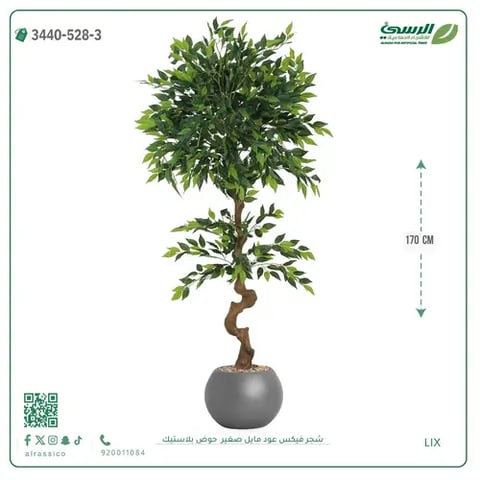 شجرة فيكس عود مائل صناعية صغيرة (ارتفاع 170 سم) حوض بلاستيك