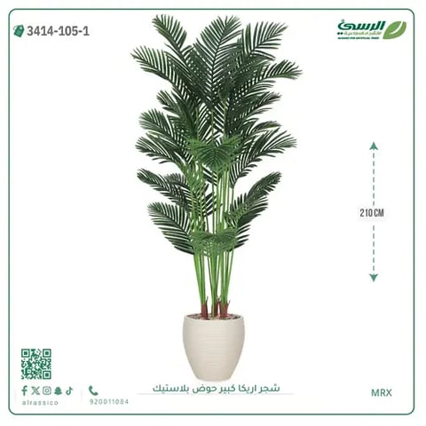 شجر أريكا صناعية ( ارتفاع 210 سم ) حوض بلاستك