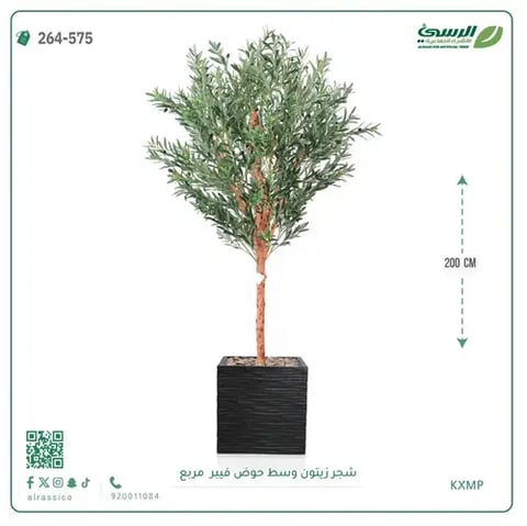 شجرة زيتون صناعية (ارتفاع 200 سم) بحوض فيبر مربع