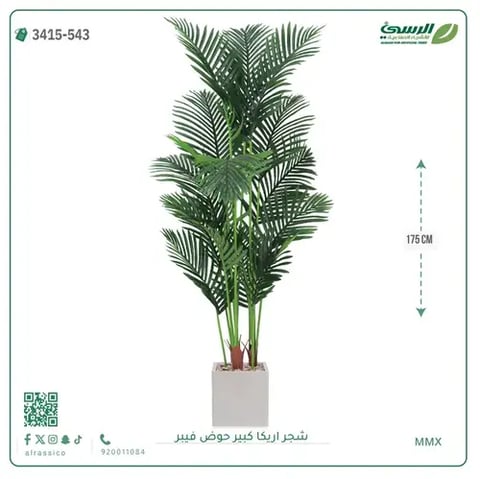 شجر أريكا صناعية ( ارتفاع 175 سم ) حوض فيبر