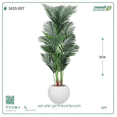 شجرة أريكا صناعية 15 فرع (ارتفاع 185 سم) حوض فيبر