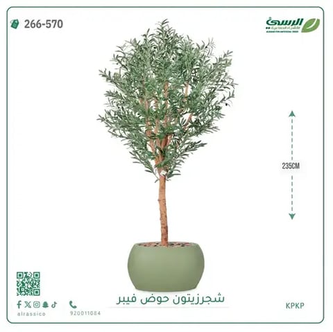  شجرة زيتون صناعية (ارتفاع 235 سم) بحوض فيبر