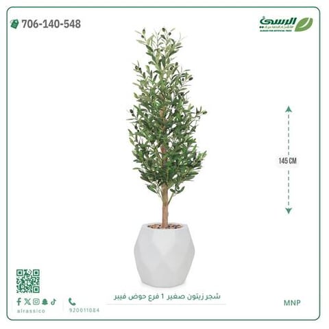 شجرة الزيتون الصناعية (ارتفاع 145 سم) حوض فيبر