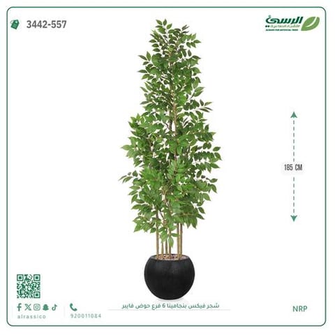 شجرة فيكس بنجامينا صناعية 6 فروع (ارتفاع 185 سم) حوض فيبر