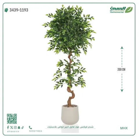 شجرة فيكس صناعية عود مائل (ارتفاع 200 سم) حوض بلاستيك
