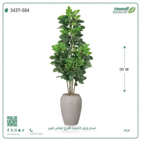 شجرة ورق كاميليا صناعية 6 فروع (ارتفاع 220 سم) حوض فيبر