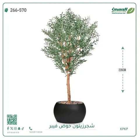  شجرة زيتون صناعية (ارتفاع 235 سم) بحوض فيبر