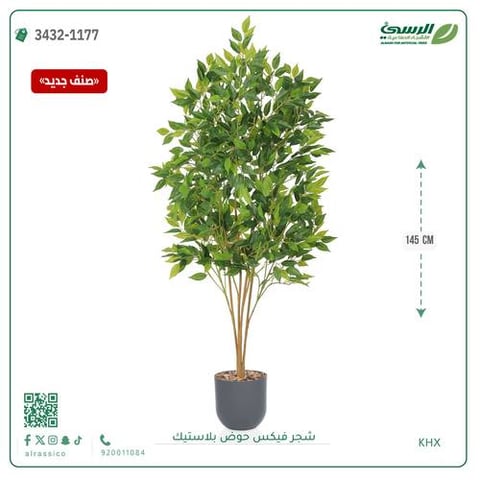 شجرة فيكس صناعية (ارتفاع 145 سم) حوض بلاستيك
