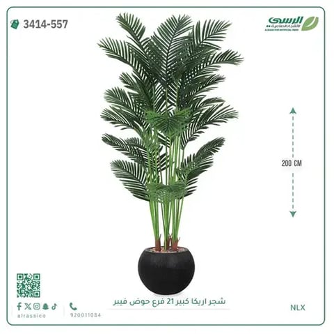شجرة أريكا صناعية 21 فرع (ارتفاع 200 سم) حوض فيبر