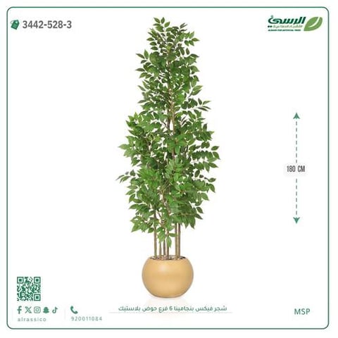 شجرة فيكس بنجامينا صناعية 6 فروع (ارتفاع 180 سم) حوض بلاستيك