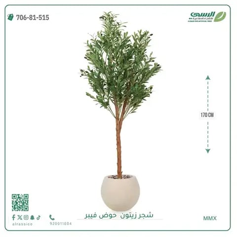 شجر زيتون صناعية ( ارتفاع 170 سم ) حوض فيبر