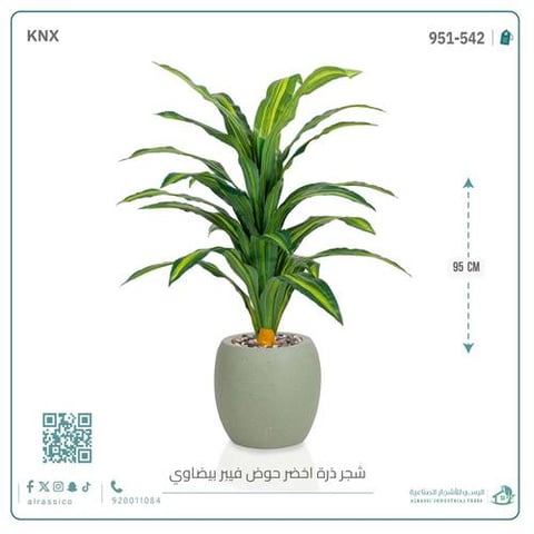 شجرة ذرة خضراء بمركن فيبر بيضاوى 