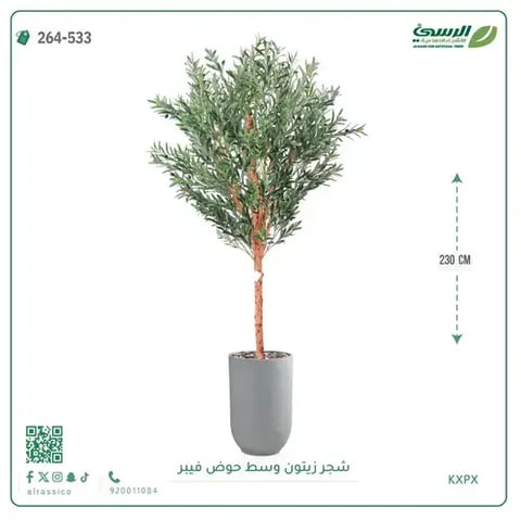 شجرة زيتون صناعية (ارتفاع 230 سم) بحوض فيبر